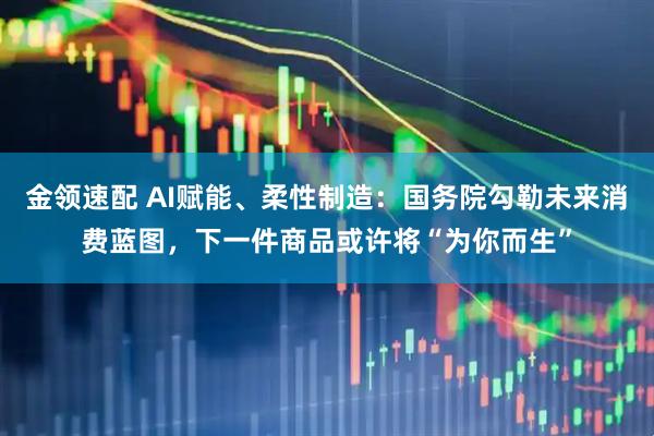 金领速配 AI赋能、柔性制造：国务院勾勒未来消费蓝图，下一件商品或许将“为你而生”