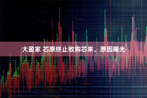 大盈家 芯原终止收购芯来，原因曝光